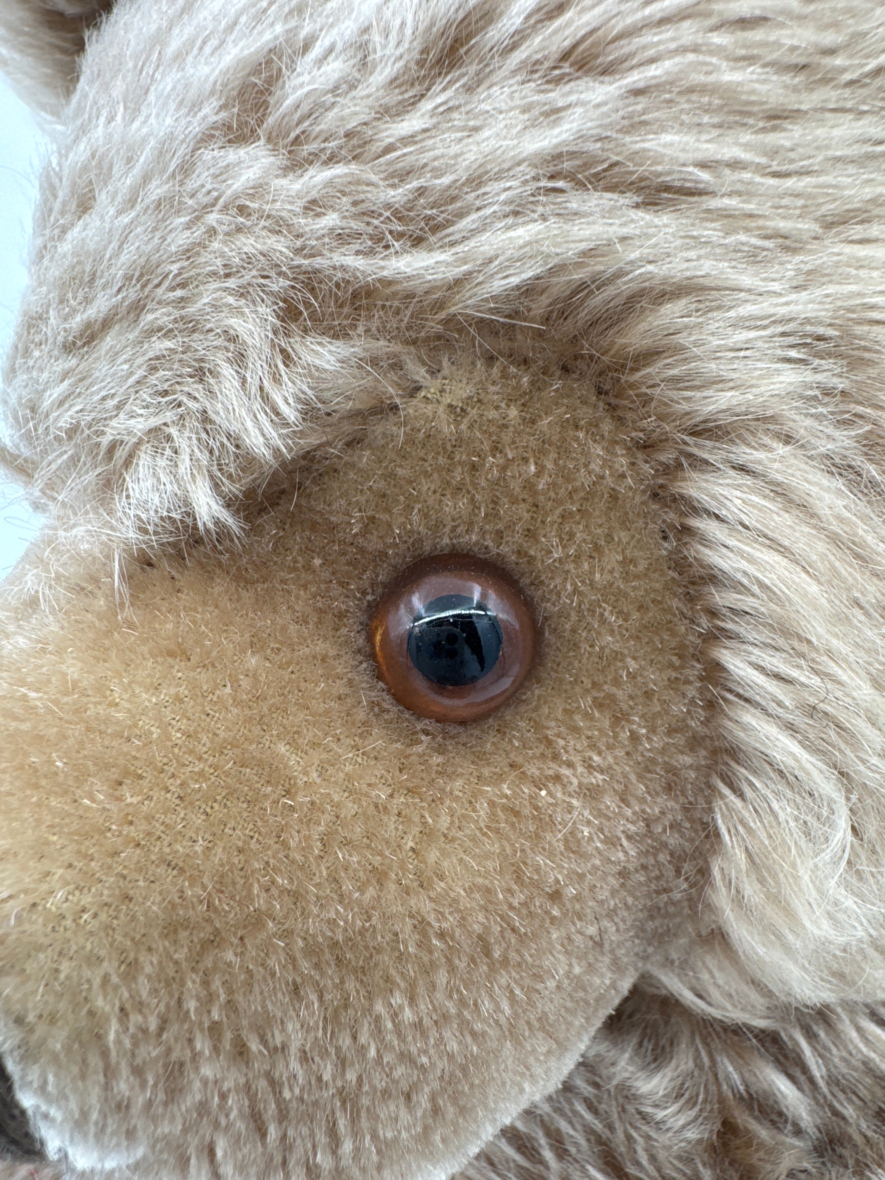 Vintage Steiff Teddy Bear 0202/51 20” Mohair Bear Made in Germany with Button in Ear