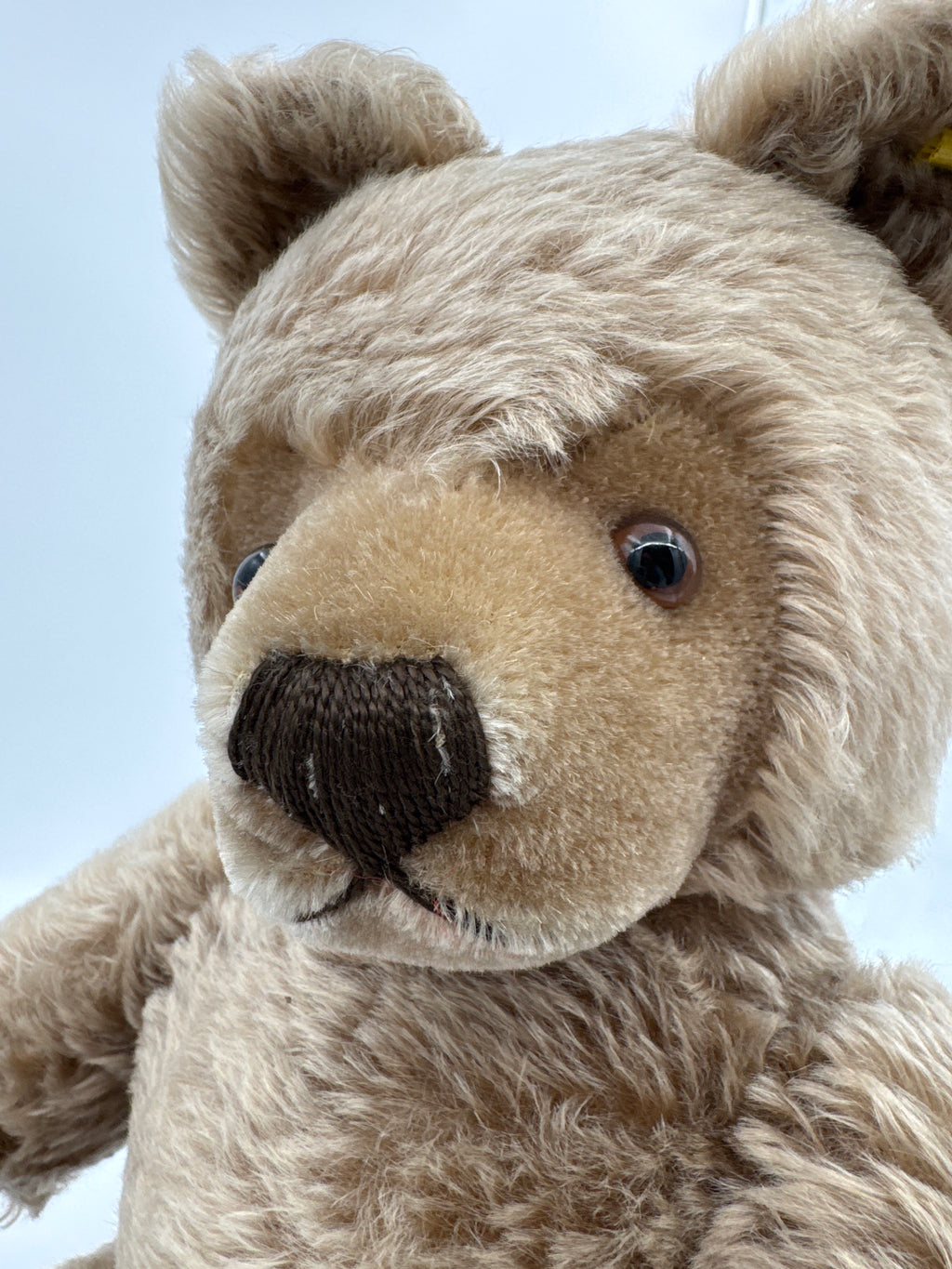 Vintage Steiff Teddy Bear 0202/51 20” Mohair Bear Made in Germany with Button in Ear