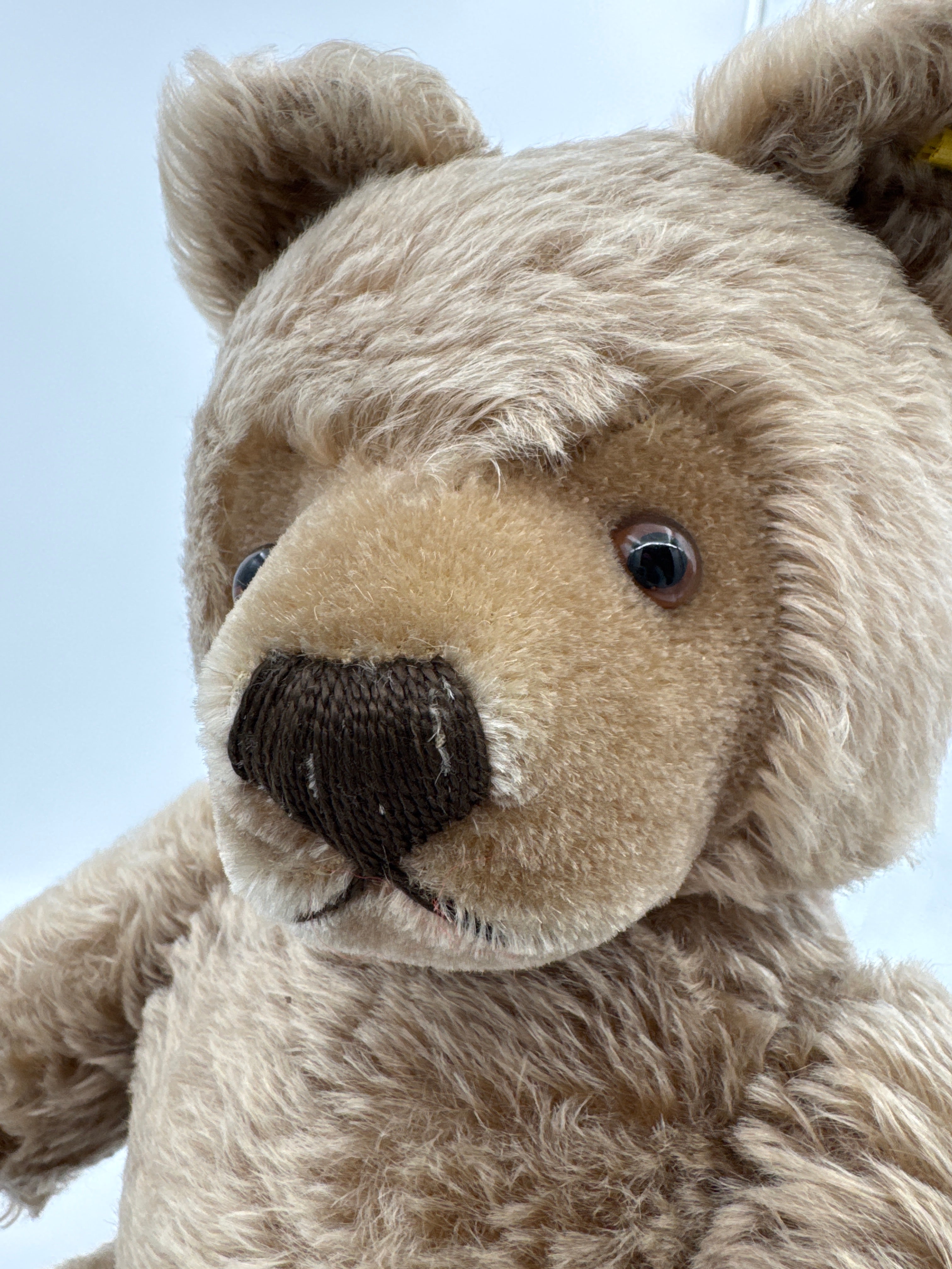 Vintage Steiff Teddy Bear 0202/51 20” Mohair Bear Made in Germany with Button in Ear