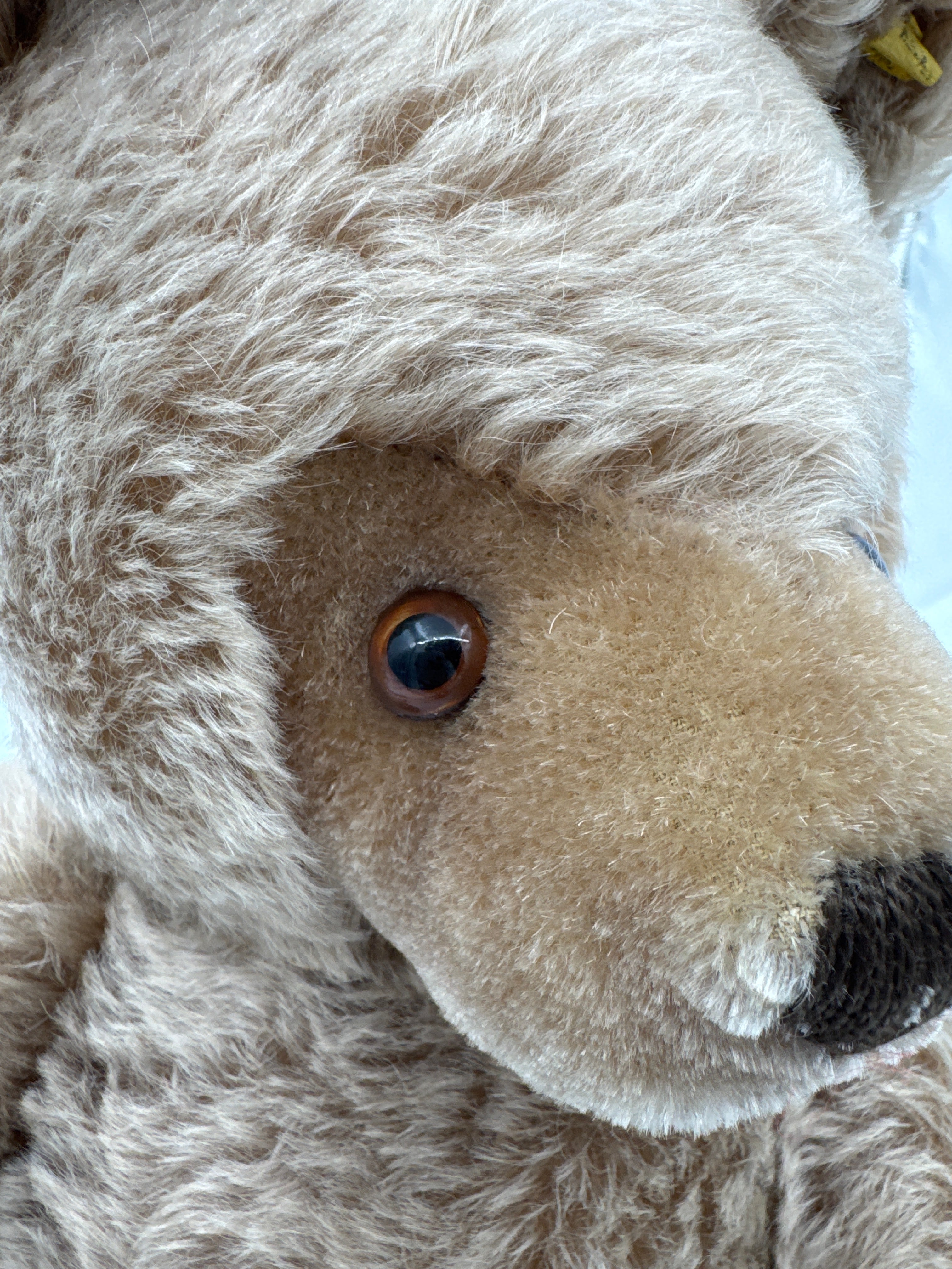 Vintage Steiff Teddy Bear 0202/51 20” Mohair Bear Made in Germany with Button in Ear